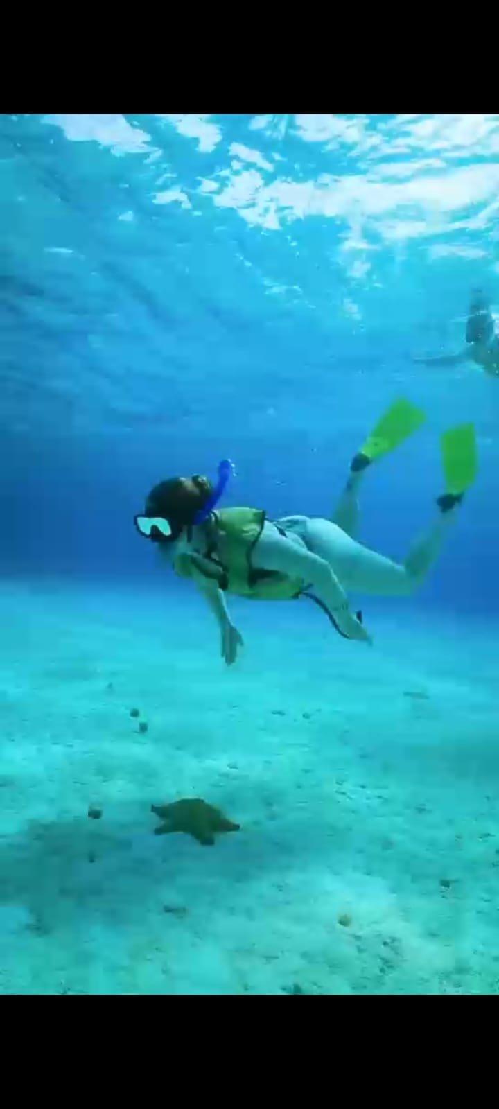 Private Boat Snorkel – El Cielo & Reefs